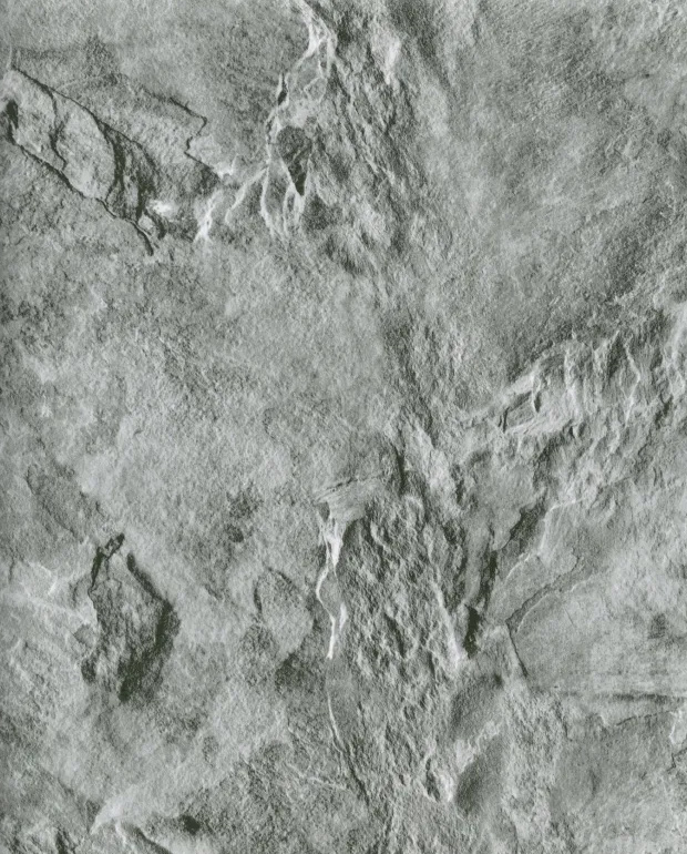 G368-02-15